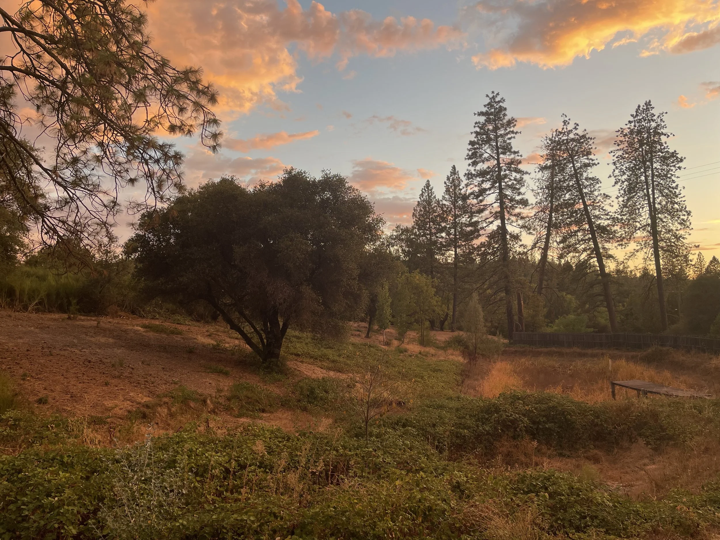 Mindfulness & Nature Retreat