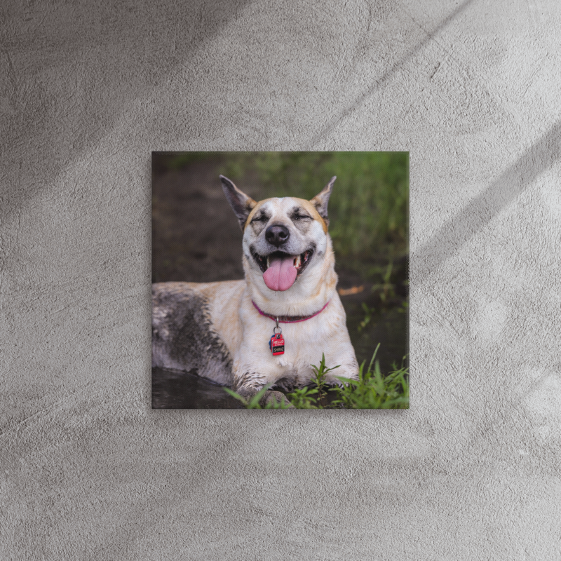 Thin Canvas Print