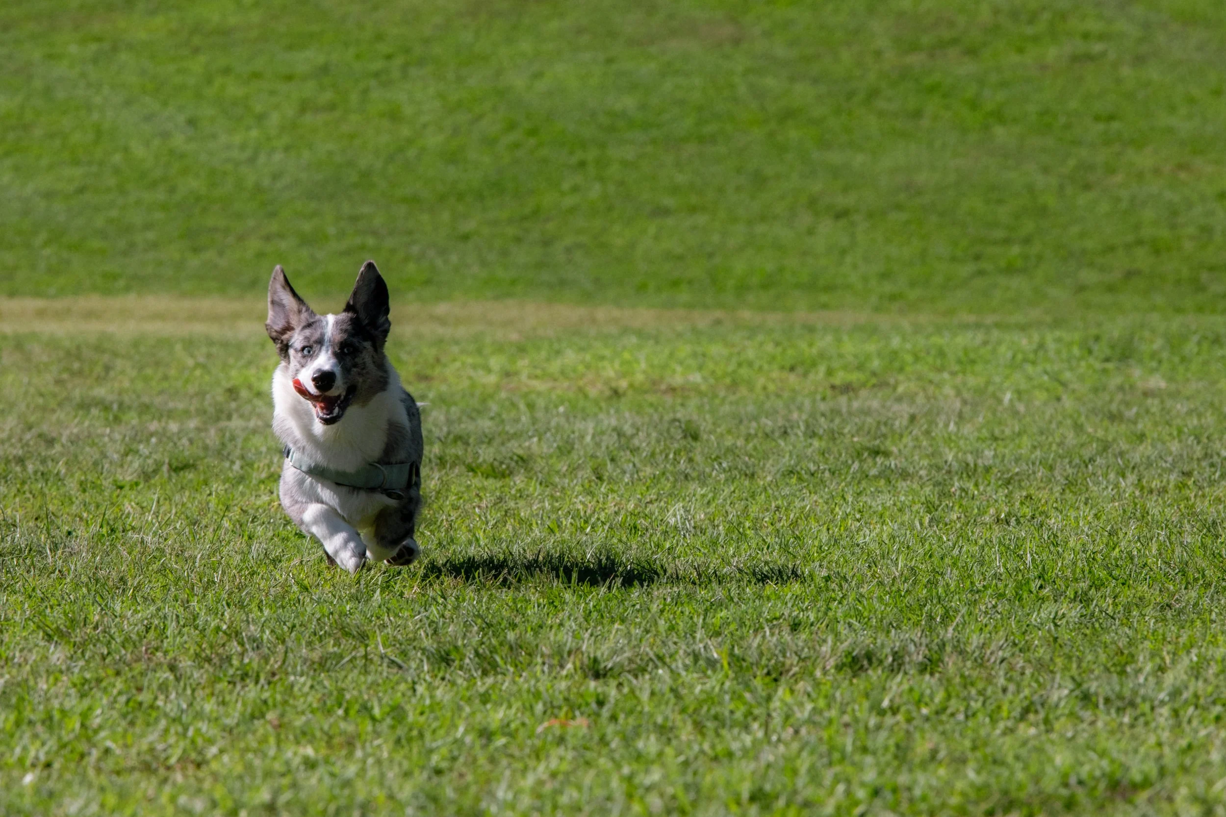 050626-5.jpg