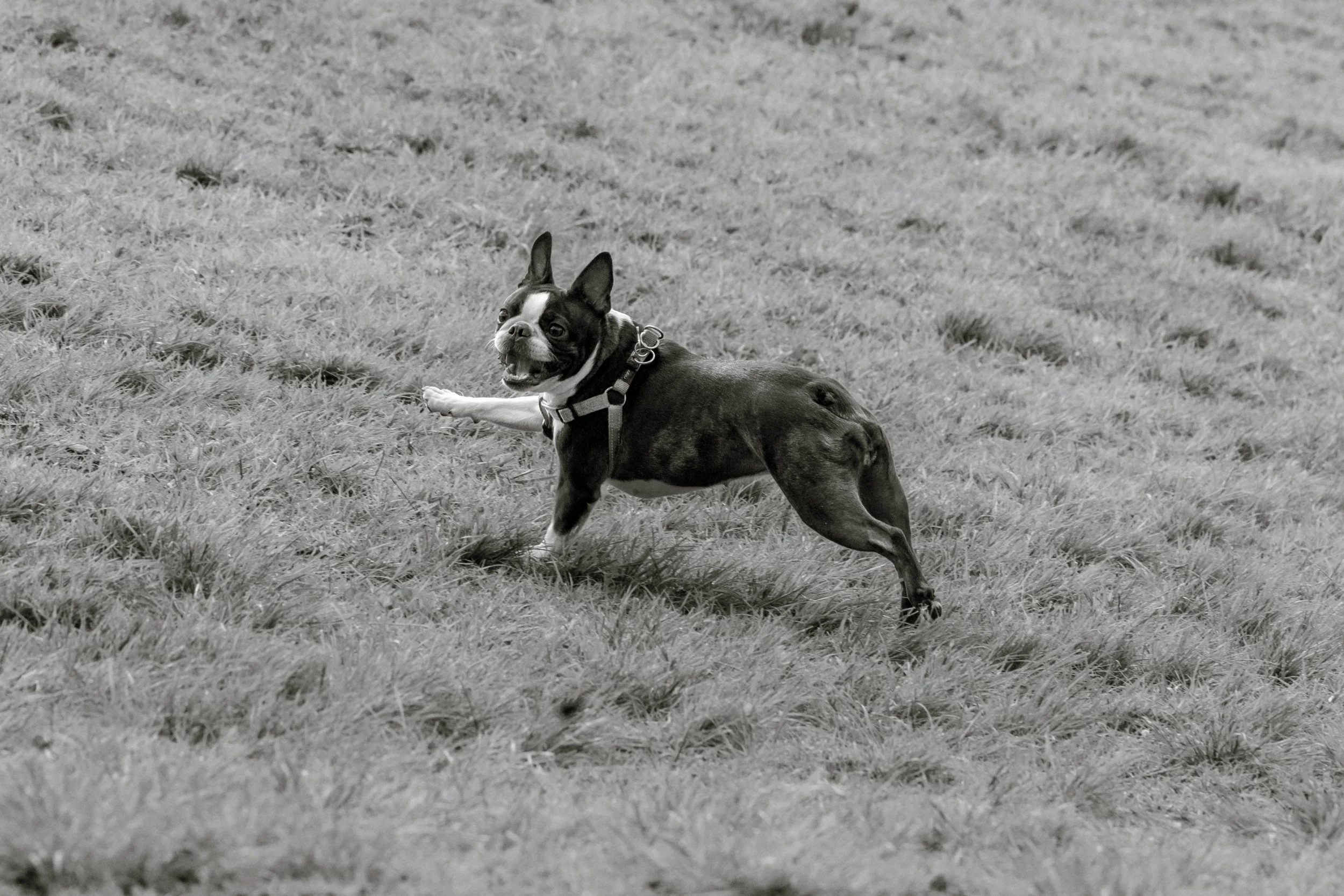 050626-16.jpg