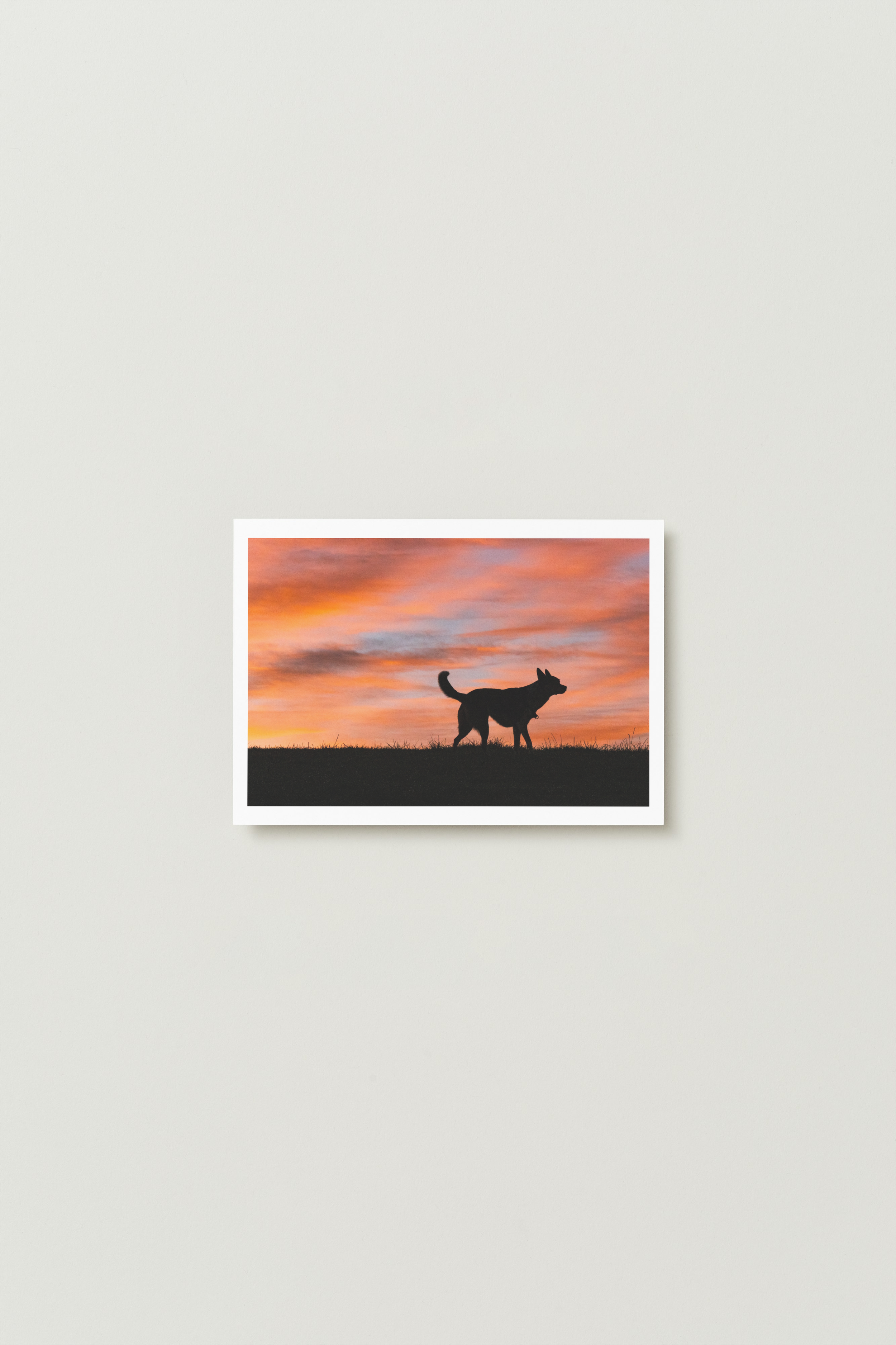 Photo Print