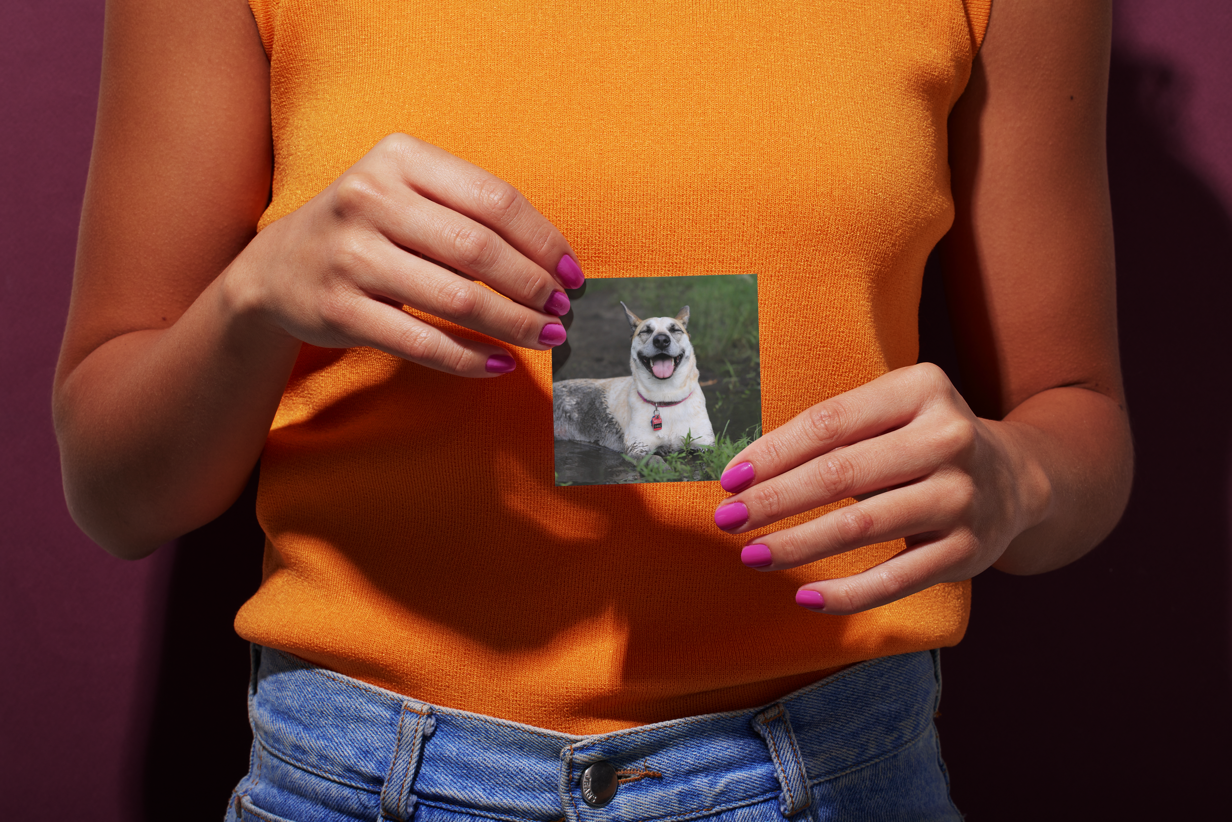 85d8426f3150be16.png