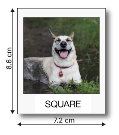 Screenshot 2026-07-22 115909.png
