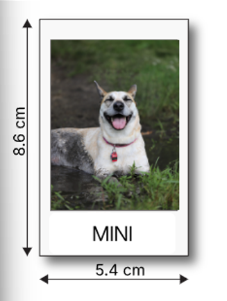 Screenshot 2026-07-22 115900.png