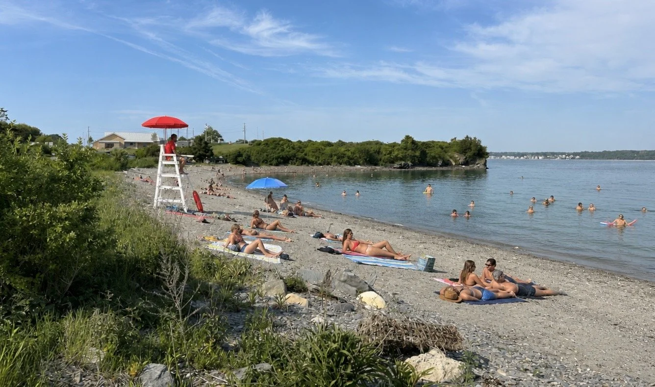 People sunbathing and swimming at a rocky beach, with a lifeguard sitting on a high chair under a red umbrella, and a blue umbrella providing shade. There is greenery on the left and a body of water with a distant shoreline.