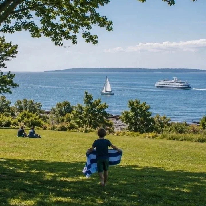 A boy walking across a grassy park area with a towel, toward a view of a large body of water with sailboats and a ferry, surrounded by trees and a clear sky.