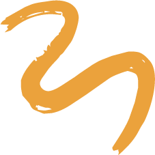 A simple, stylized illustration of a snake in orange-brown color.