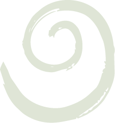 A light green spiral shape on a dark background.