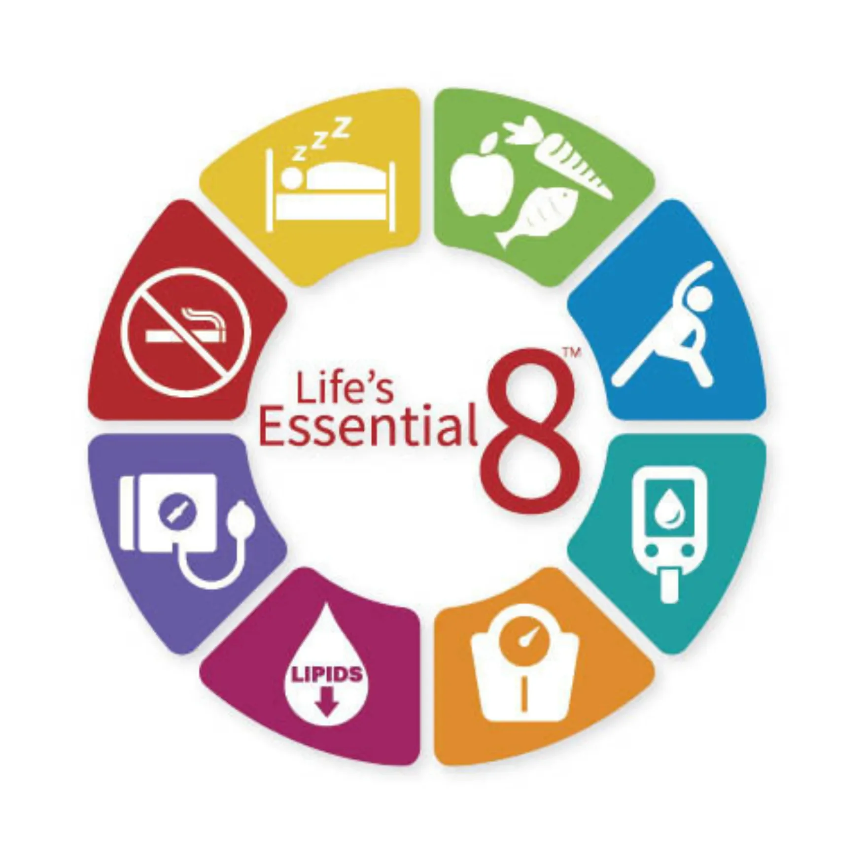 Colorful infographic of "Life's Essential 8" with icons: sleep, diet, exercise, blood pressure, glucose, weight, cholesterol, and no smoking. Promotes health awareness.