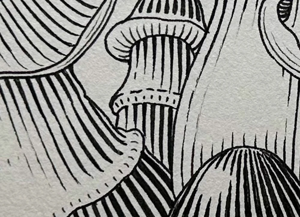 Ink illustration detail