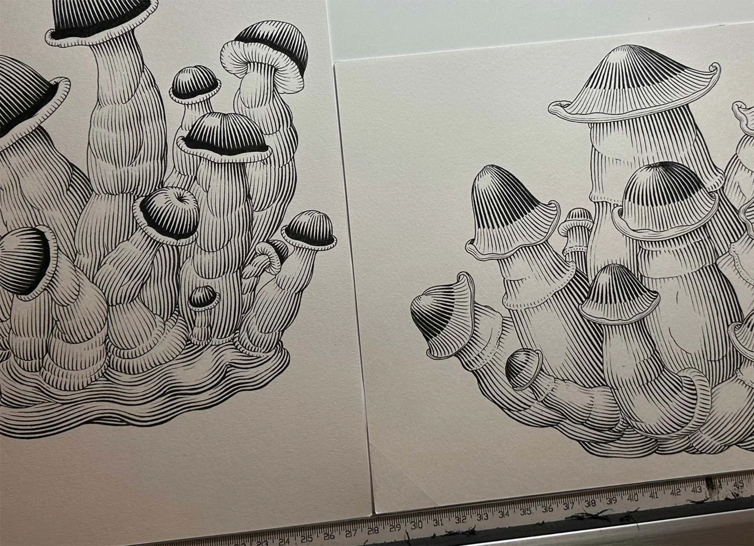Mushroom illustration process