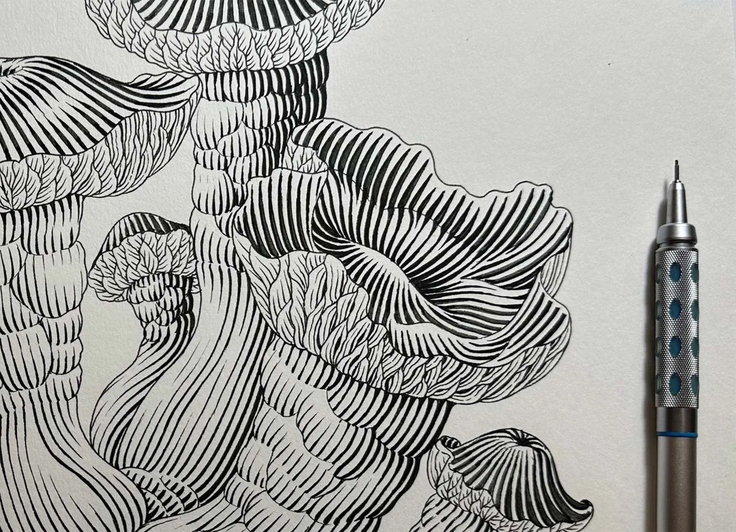 Hand-inked mushroom illustration with drawing pen