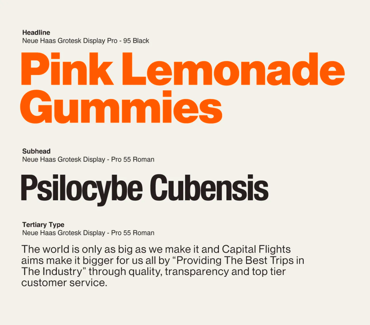 Capital Flights typography system