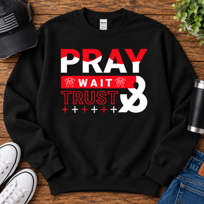 pray trust crewneck black.png