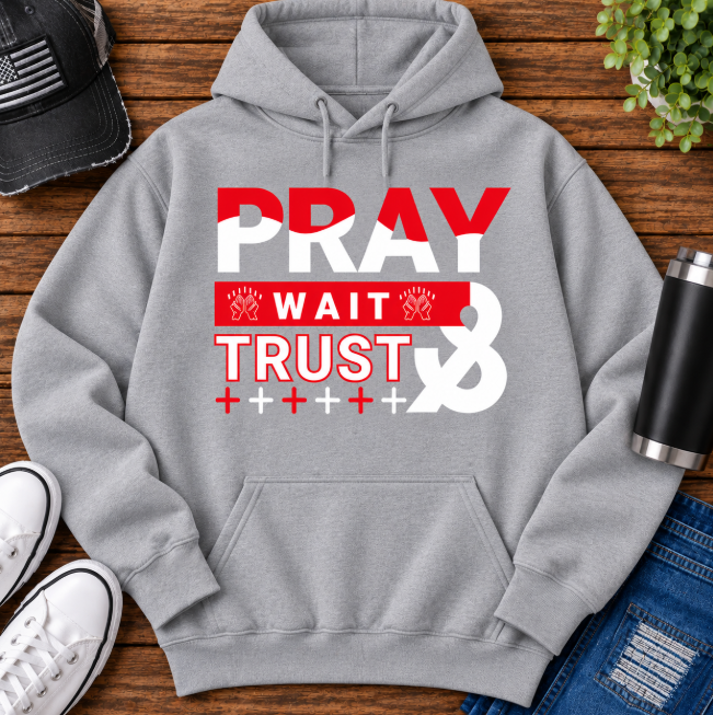 pray trust hoodie grey.png