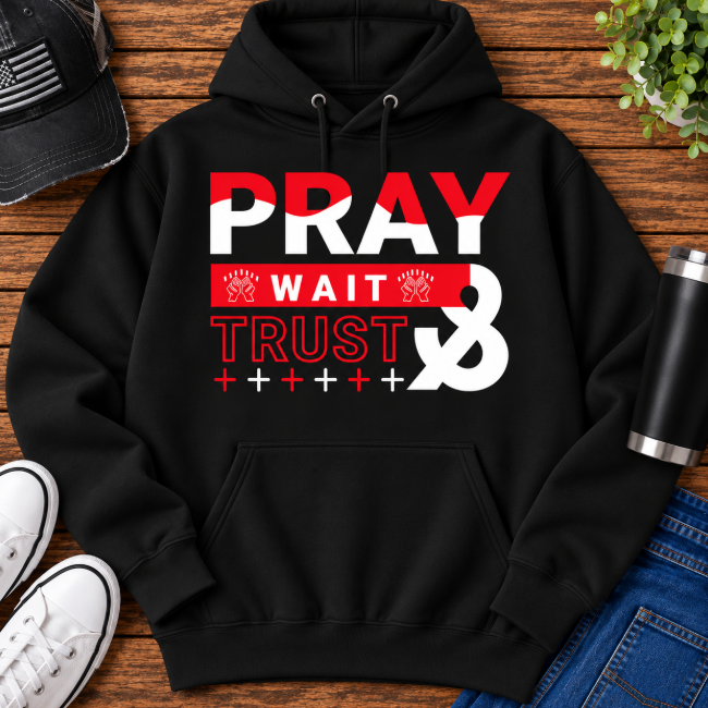 pray trust hoodie black.png
