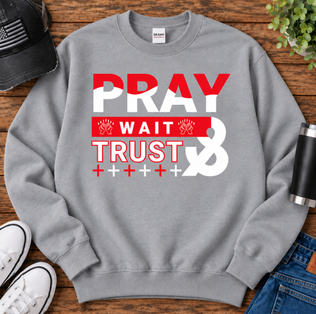 pray trust crewneck grey.png