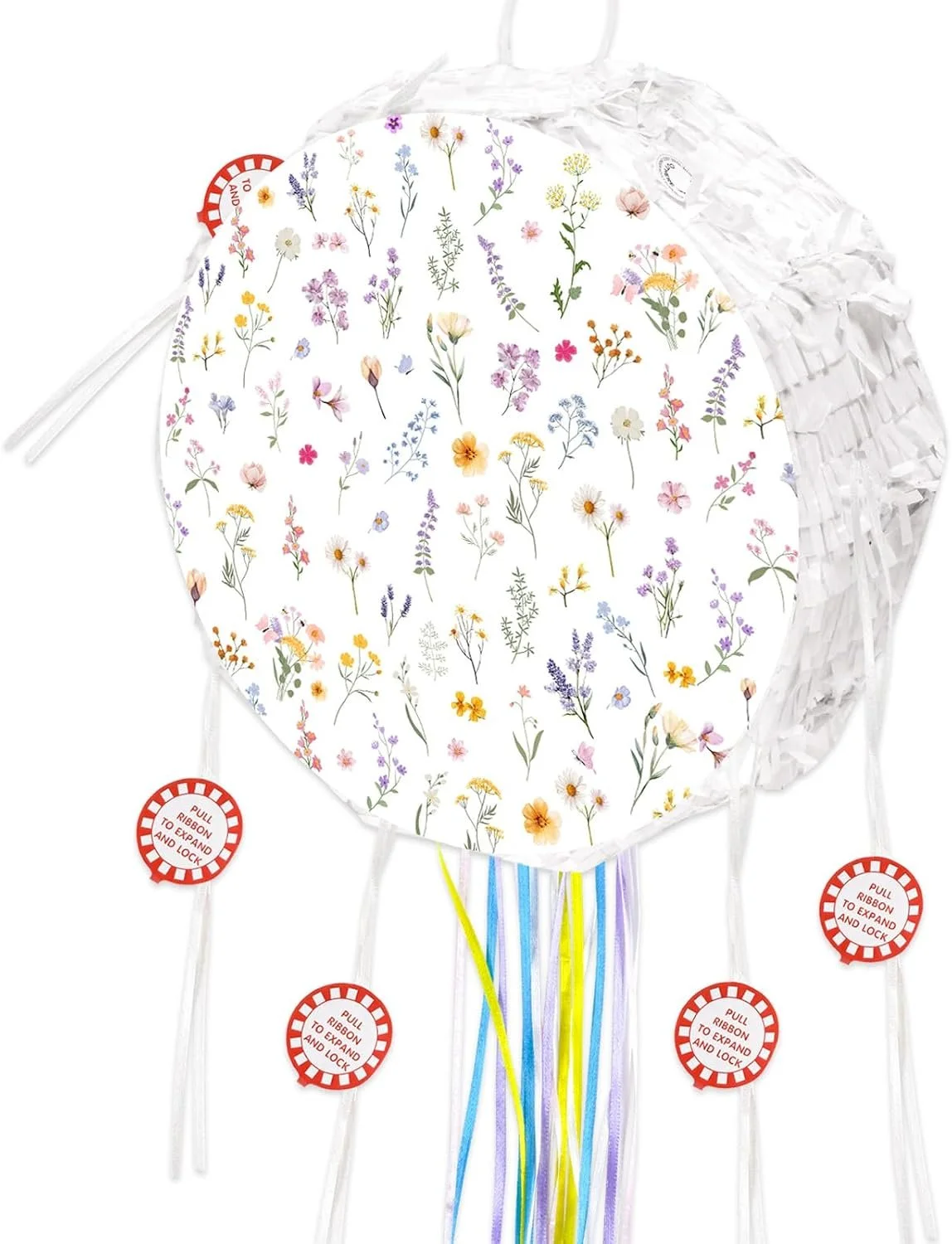 Birthday Party Idea Wildflower Round Pinata.jpg