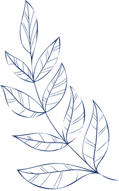 Outline of a leafy branch with multiple elongated leaves.