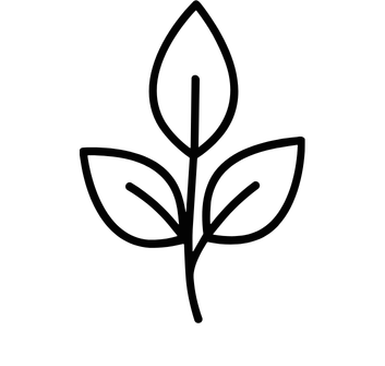 A minimalist black outline of a plant with three leaves at the top and two leaves on each side.