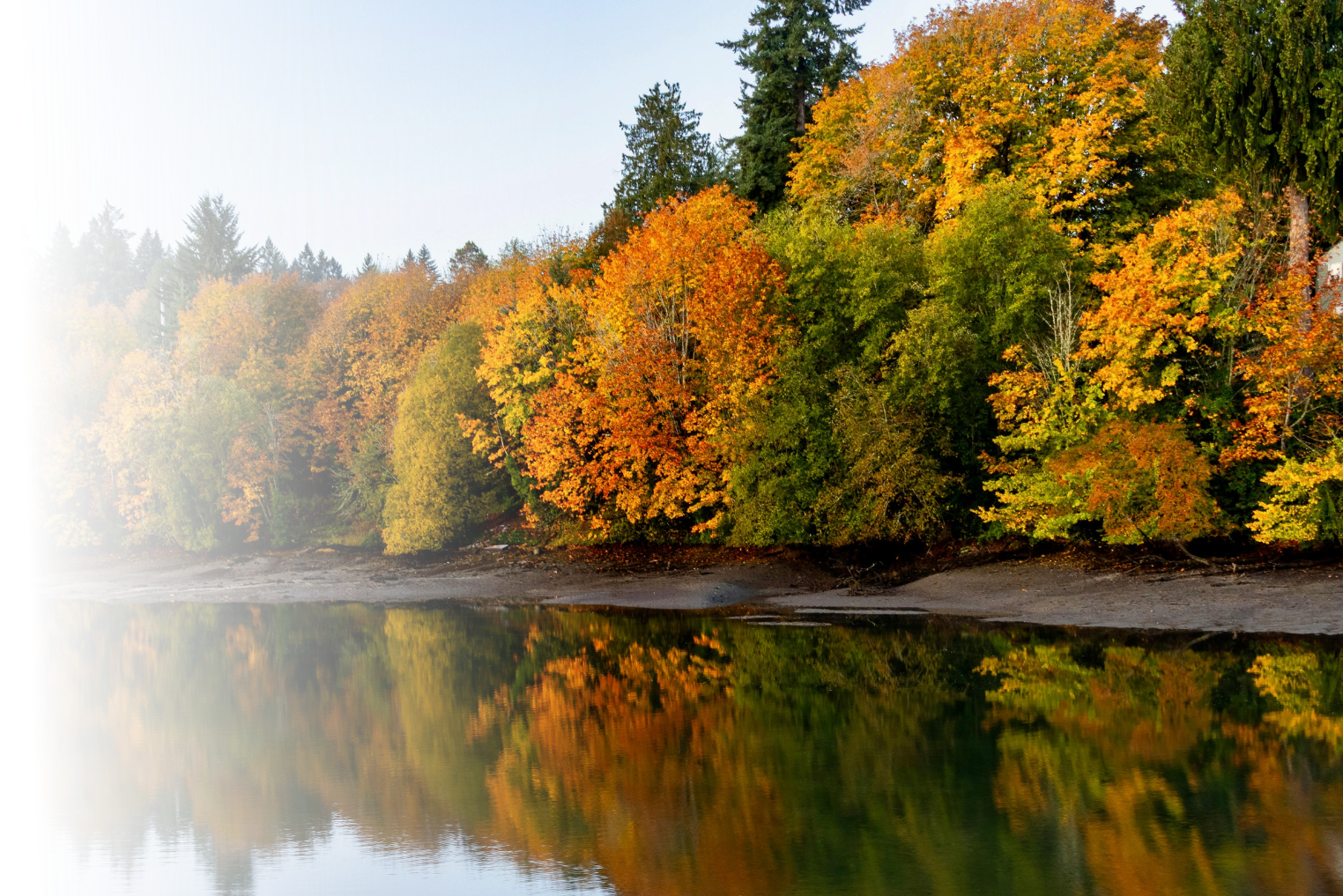 a calm fall scene with a lake and colourful trees
