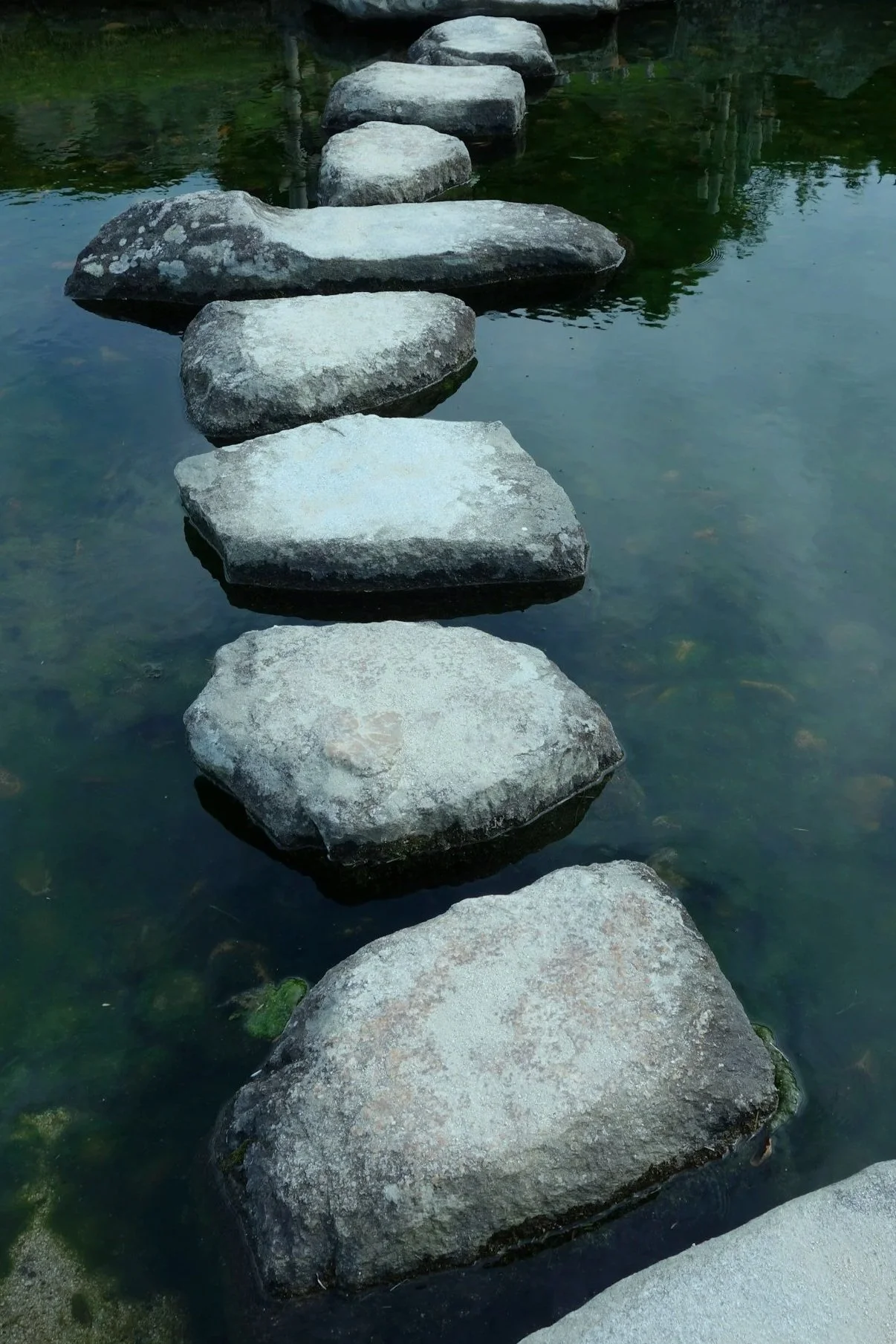 A row of large, flat stepping stones crossing over a calm body of water, with some moss and algae on the stones and reflections on the water surface.