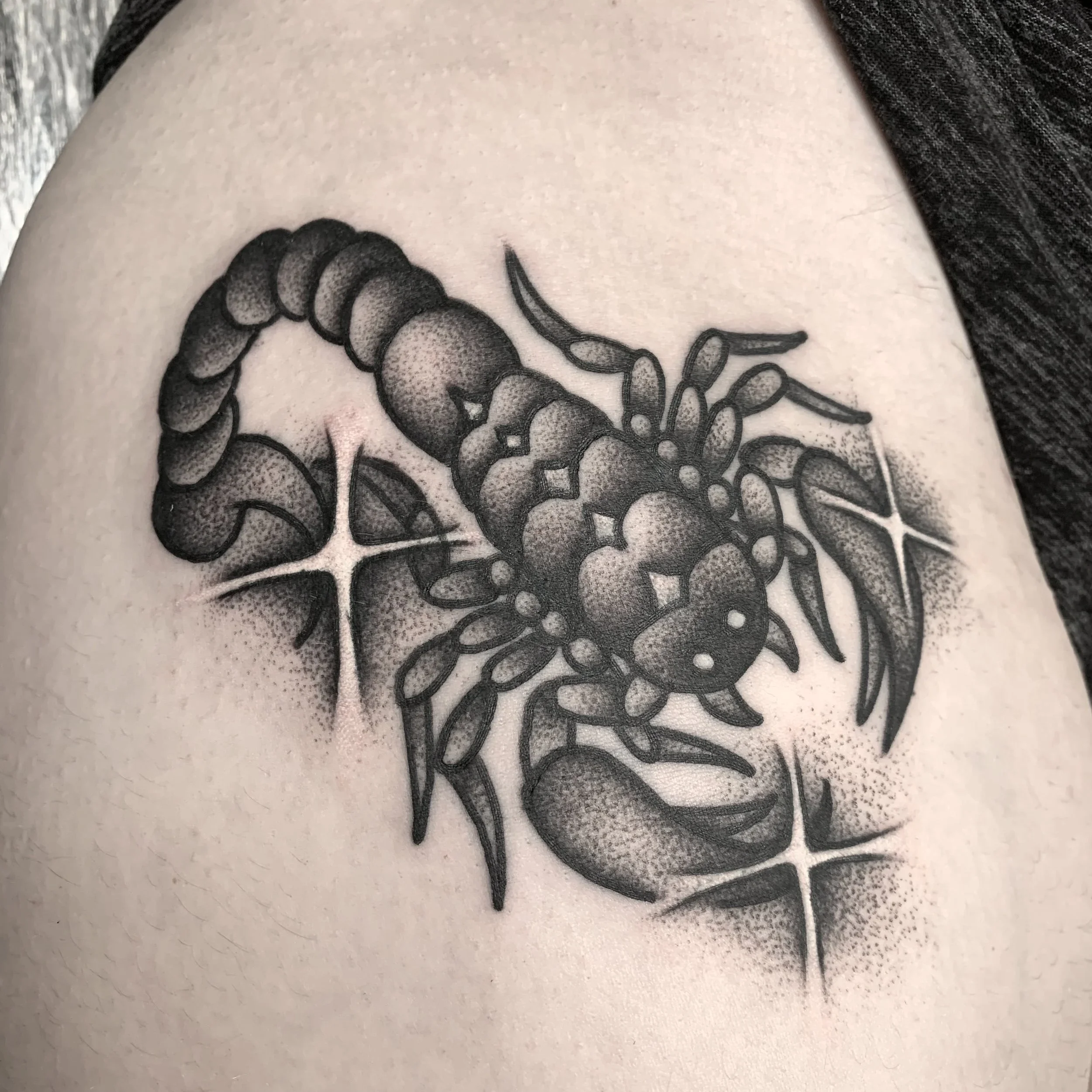 Traditional blackwork/dotwork Scorpio/scorpion tattoo