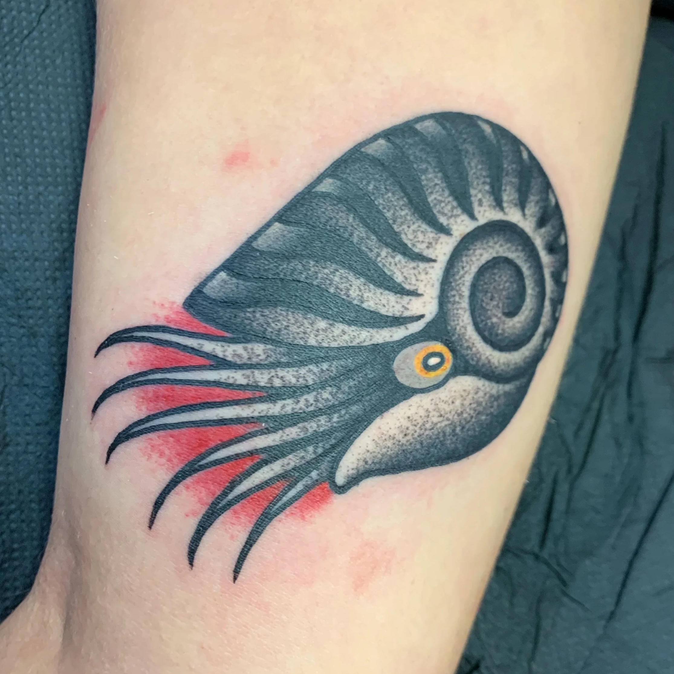 Traditional Nautilus tattoo done in Blackwork/Dotwork with a splash of red