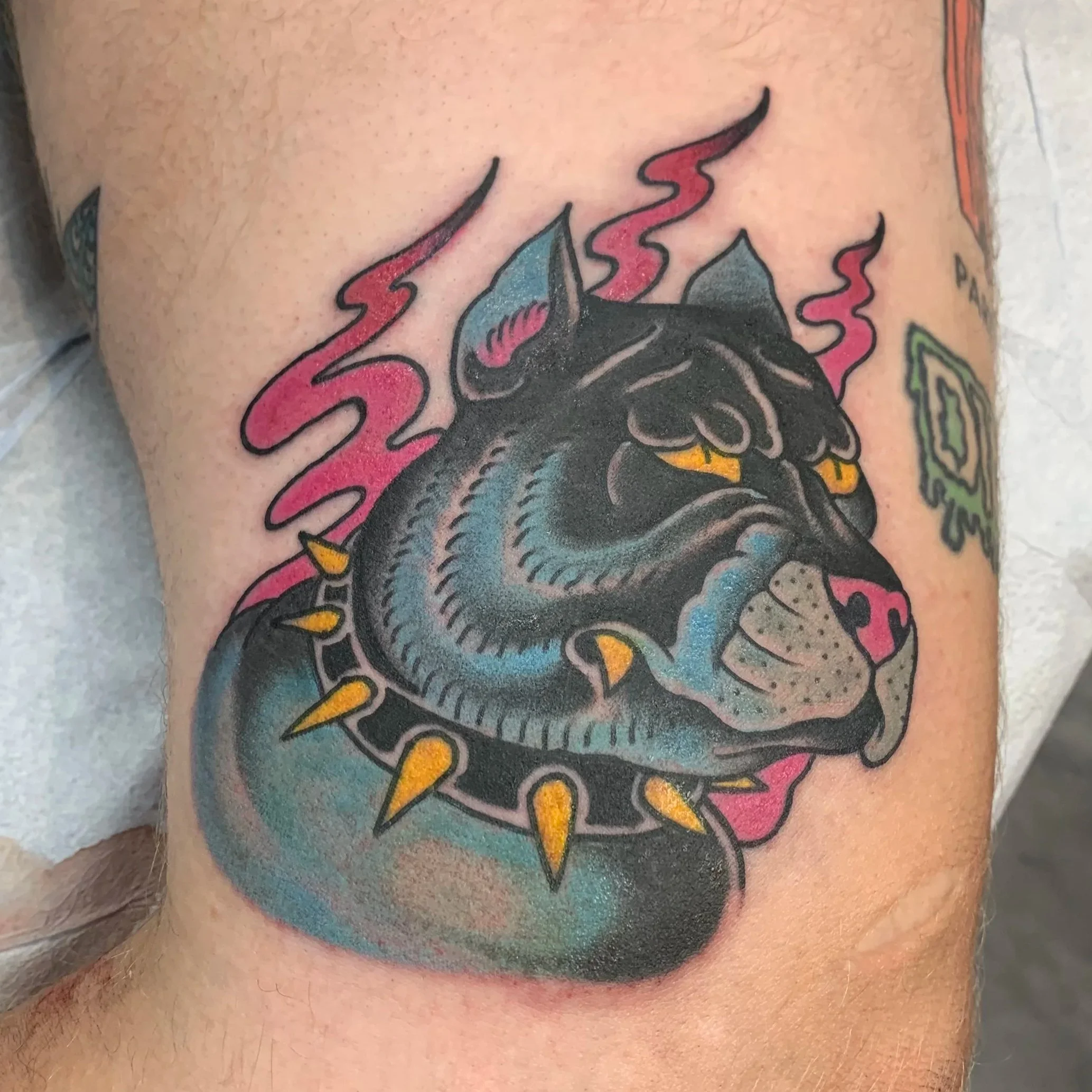Traditional bulldog tattoo based off of some Official Tattoo Brand flash
