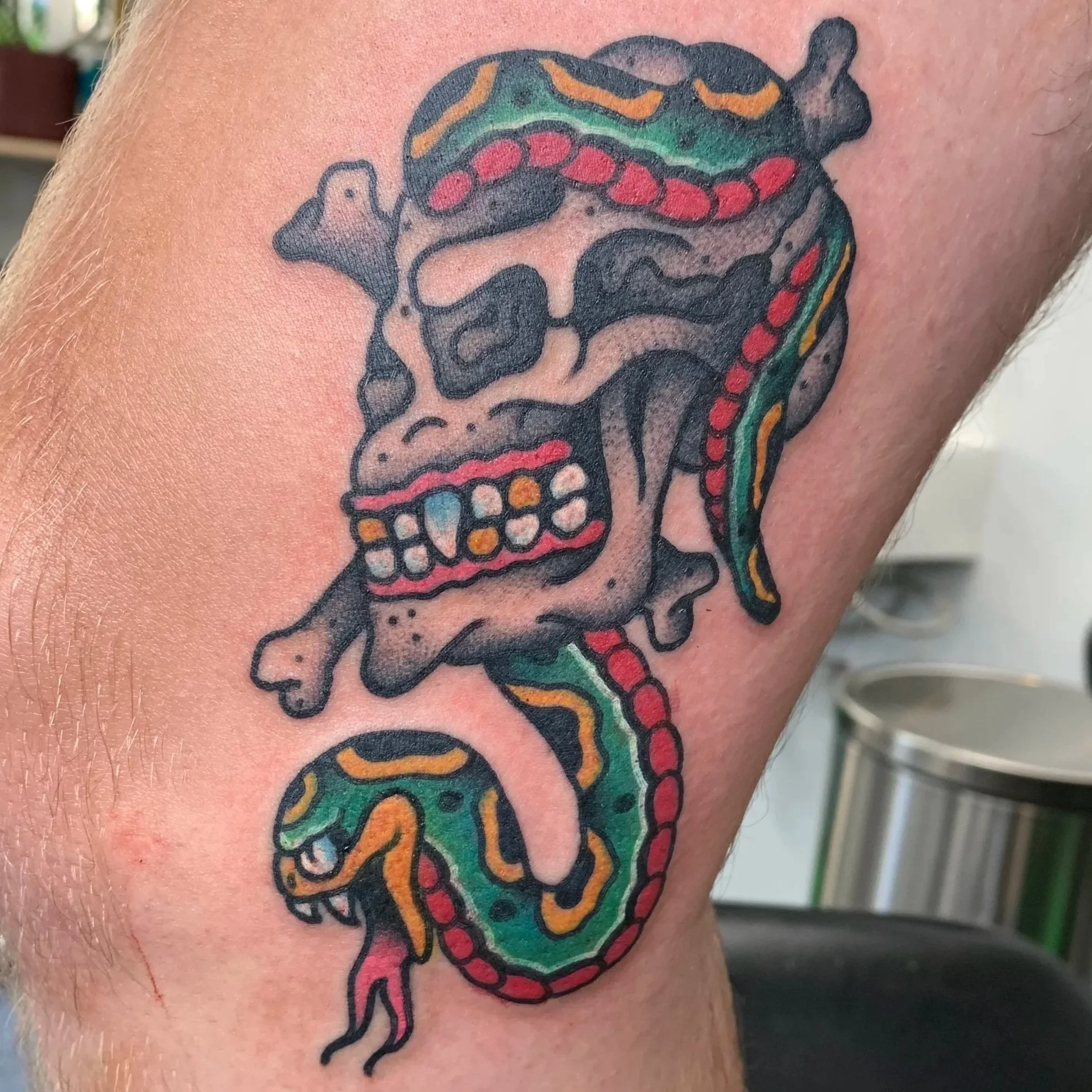 American Traditional Tattoo of a Skull and Snake combo