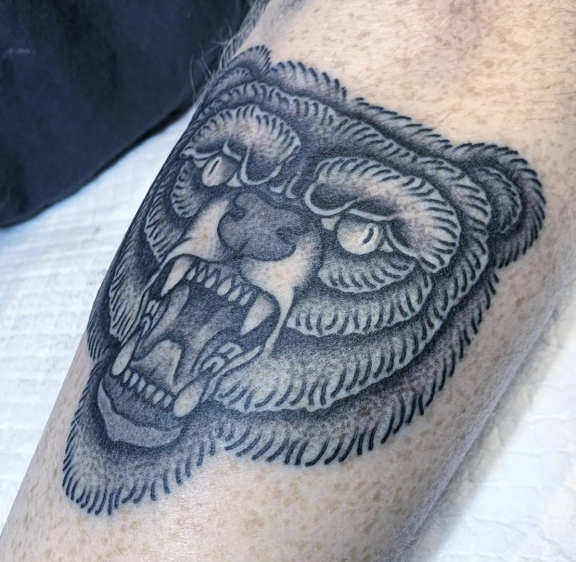Traditional blackwork/dotwork tattoo of a front facing symmetrical bear head