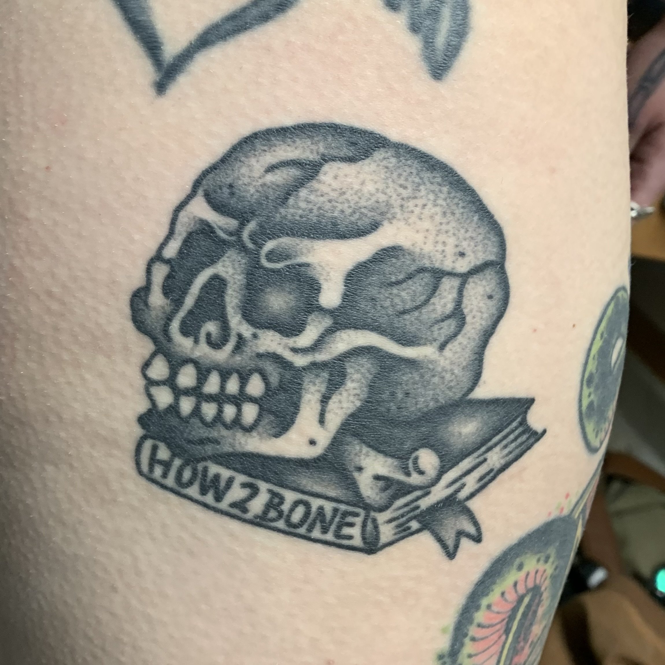 healed traditional blackwork/dotwork skull tattoo