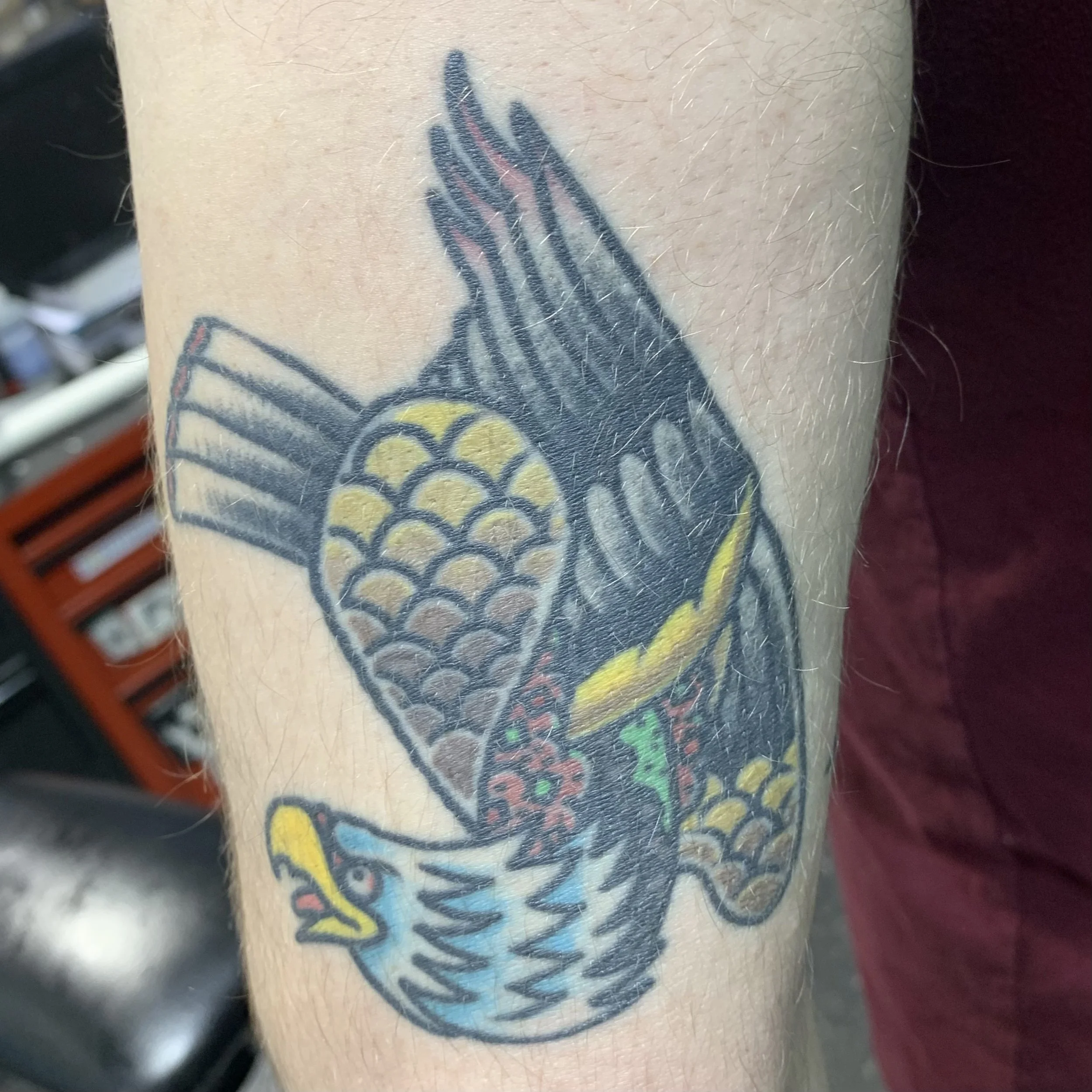 healed traditional taco eagle tattoo