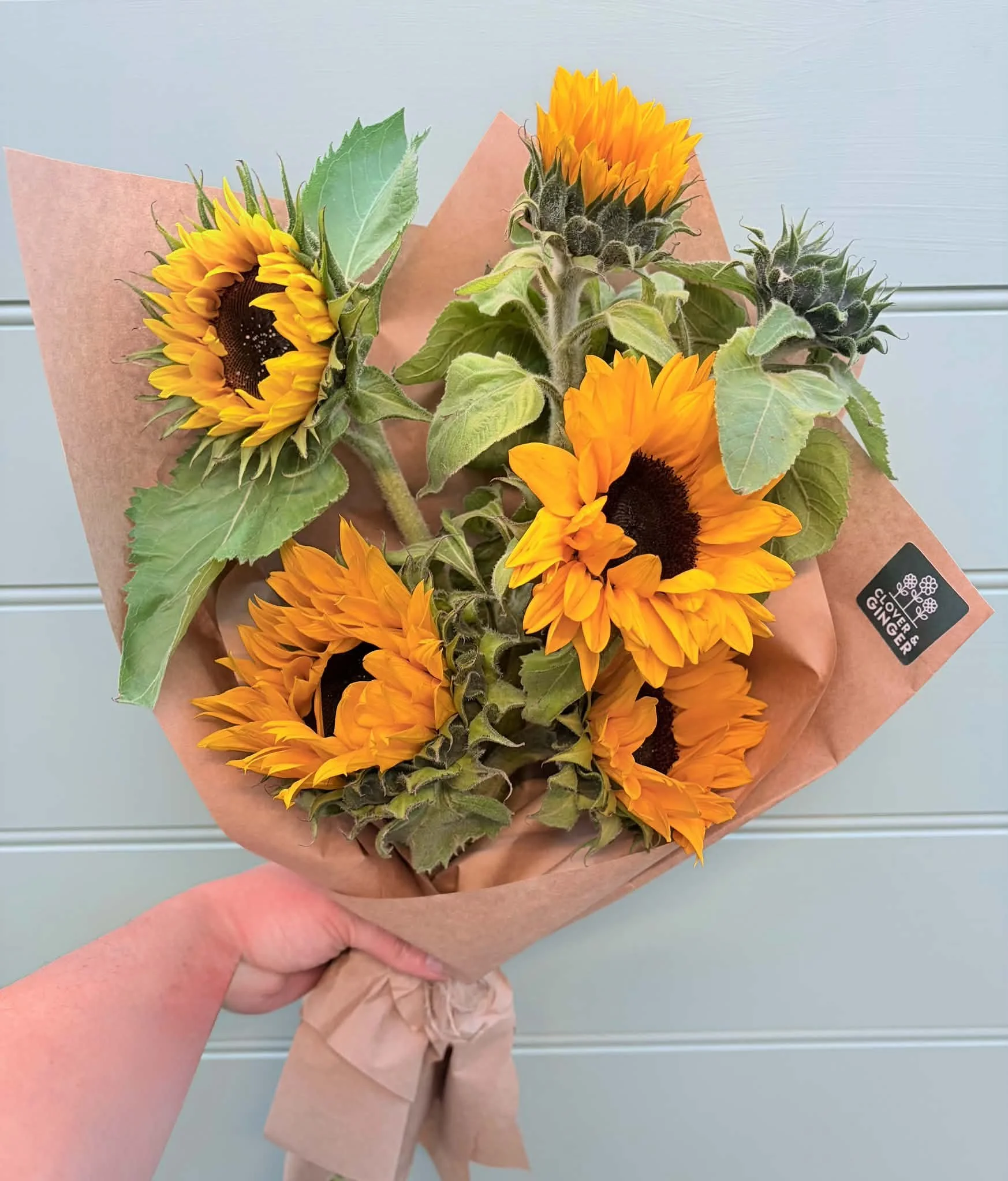 Sunflowers