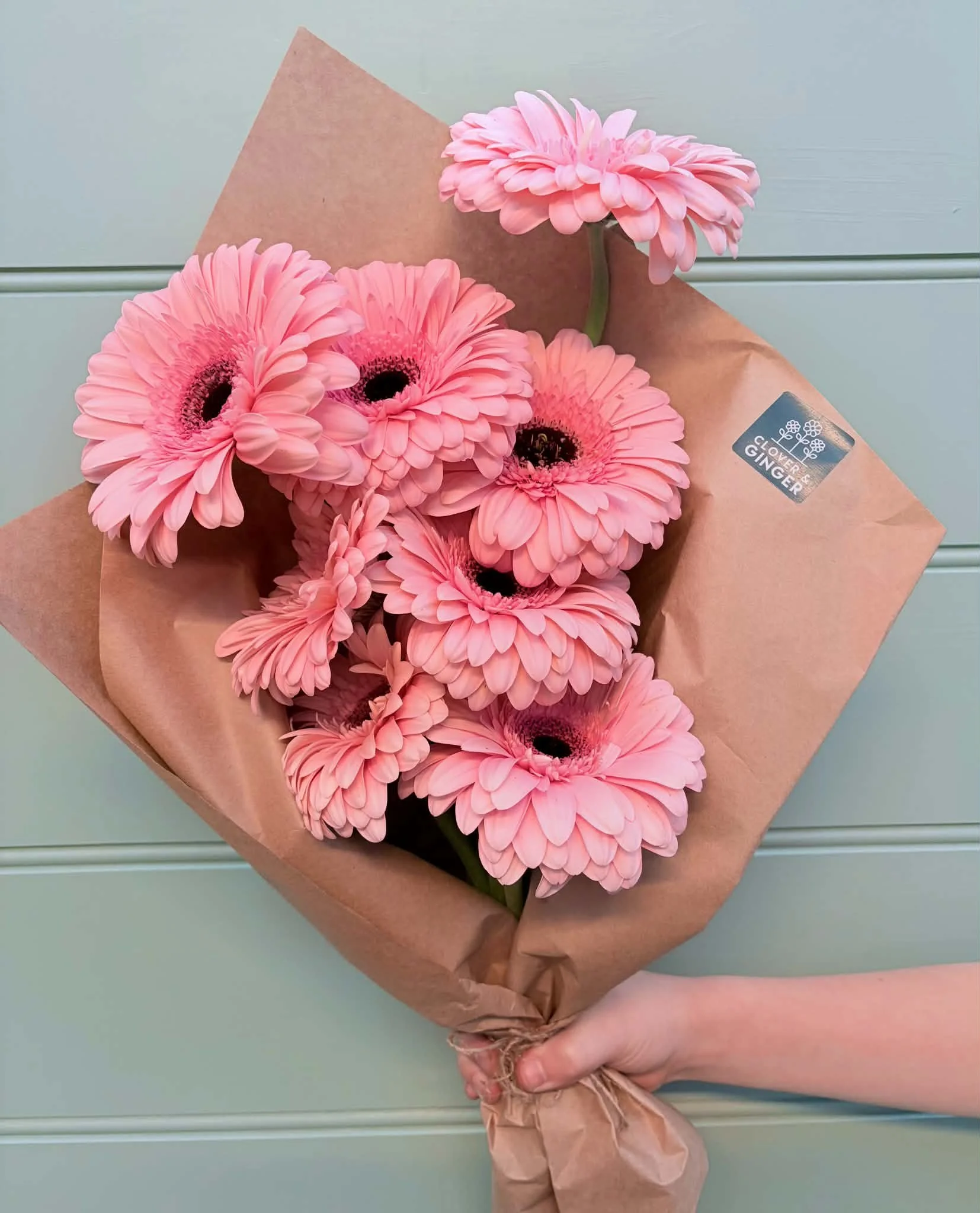 Large Gerberas