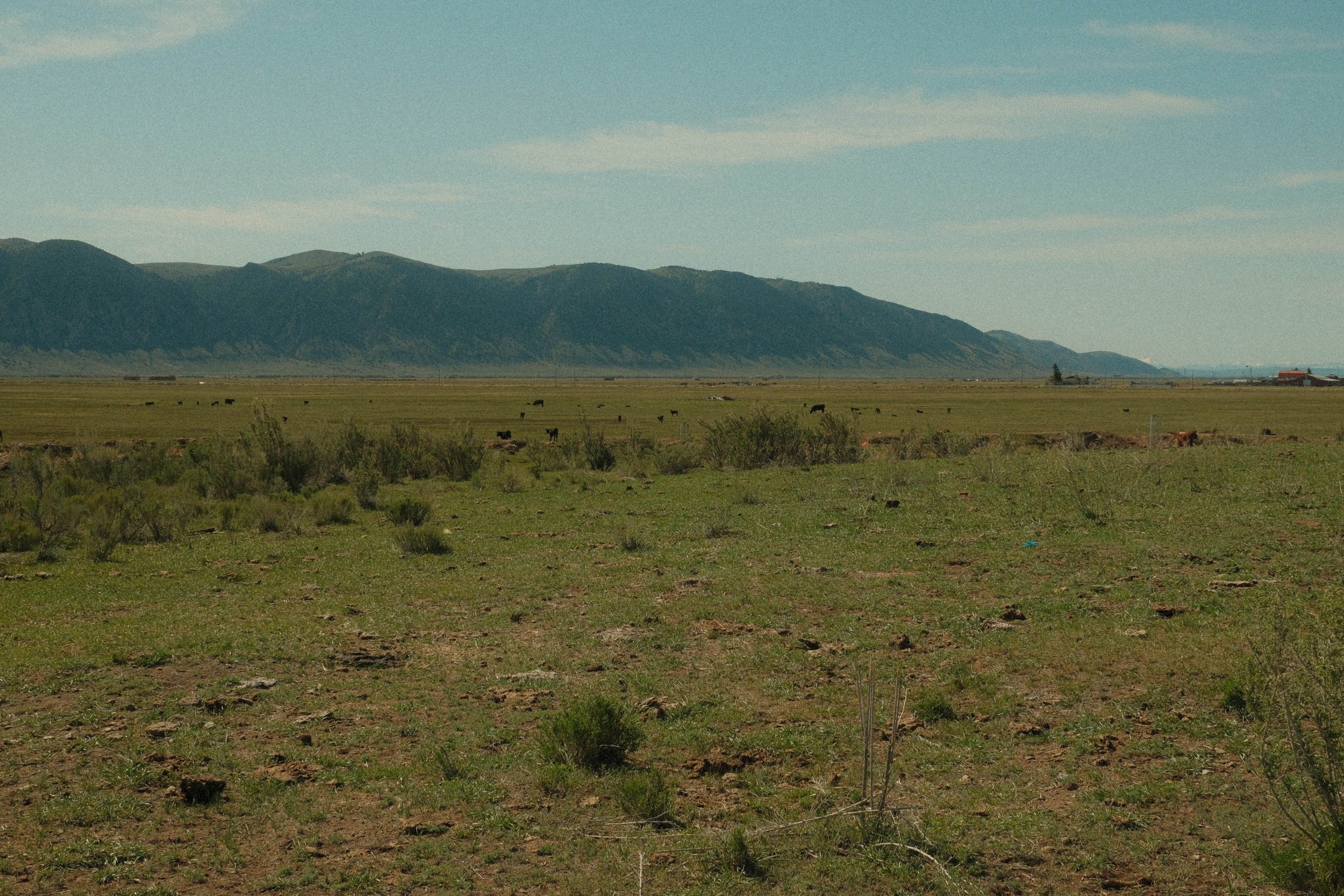 What Makes Large Acreage Properties Valuable?