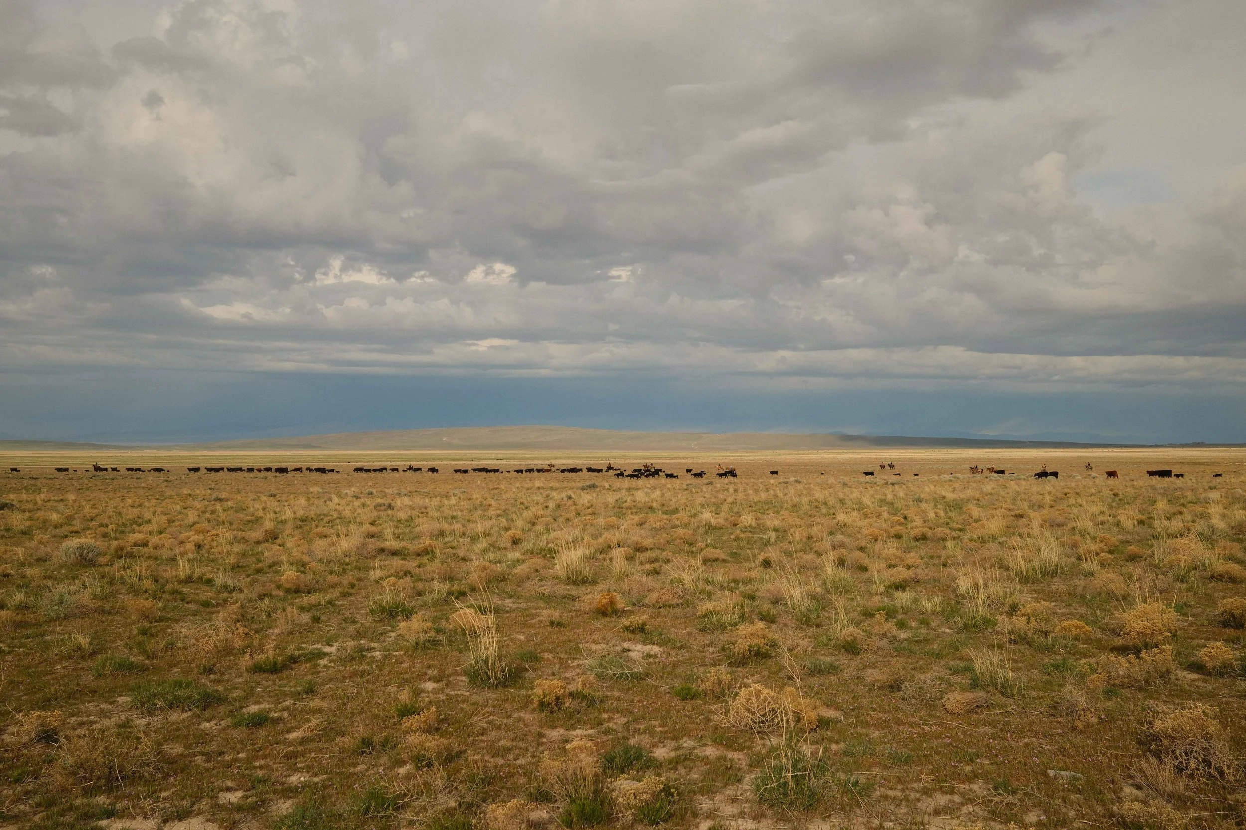 Agricultural Land & Recreational Property Appraisals