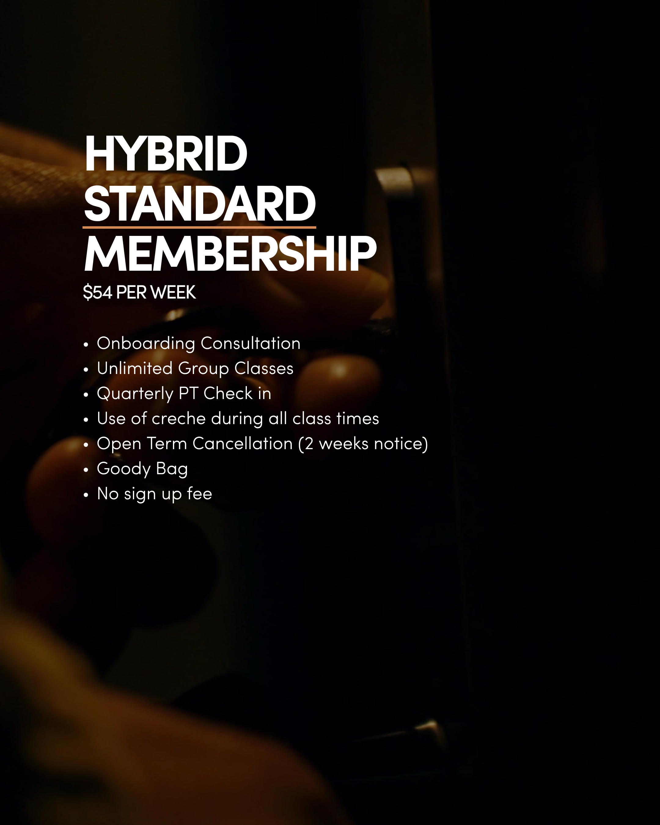 The-Hybrid-Collective-Standard-Membership.png