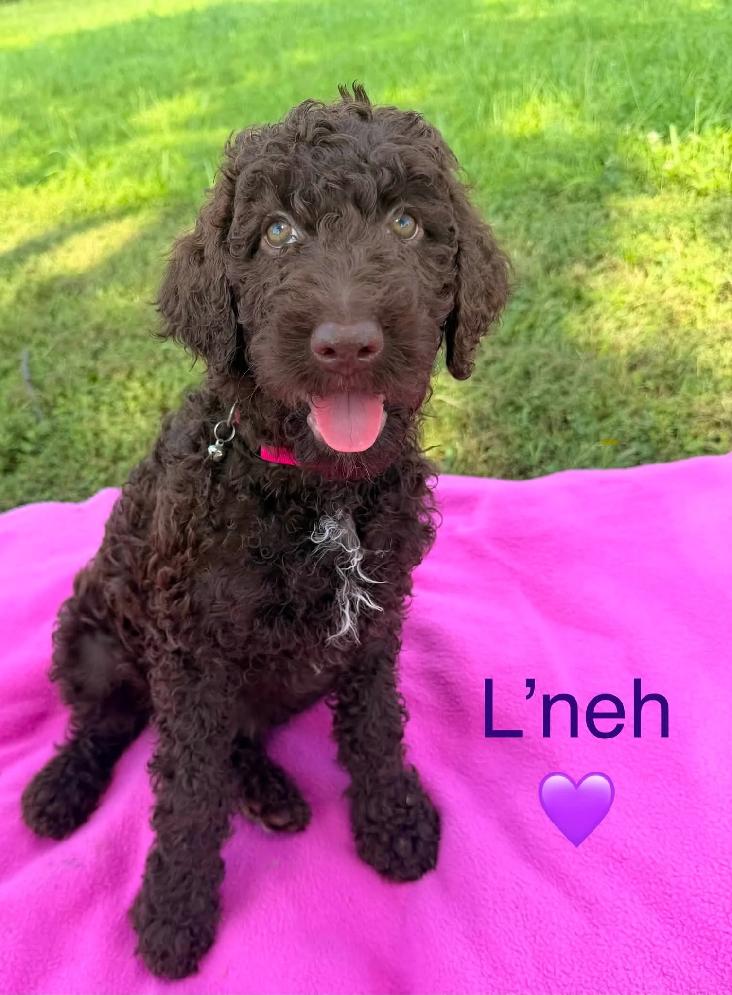 L'neh front sitting.jpg