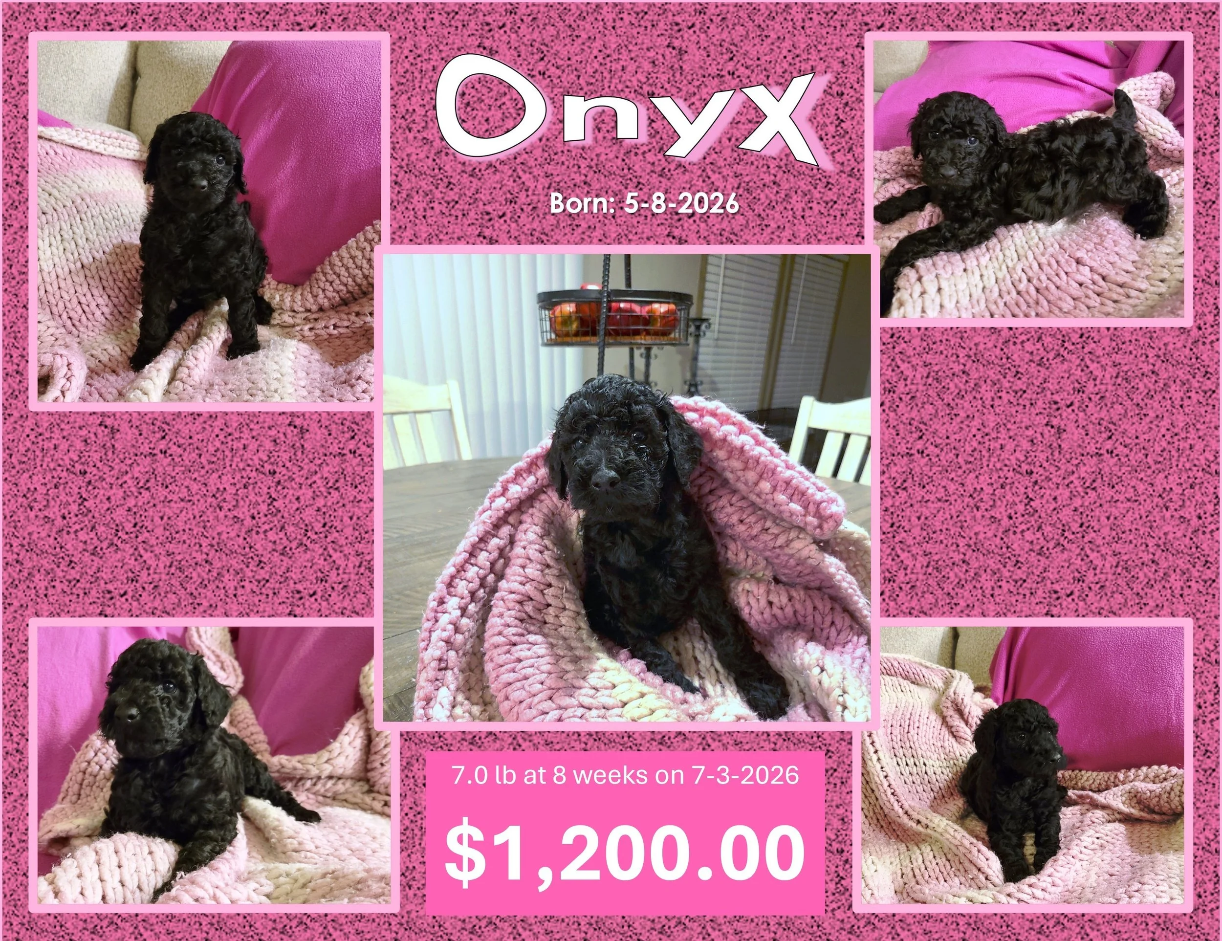 ONYX - SOLD - SOLD - SOLD