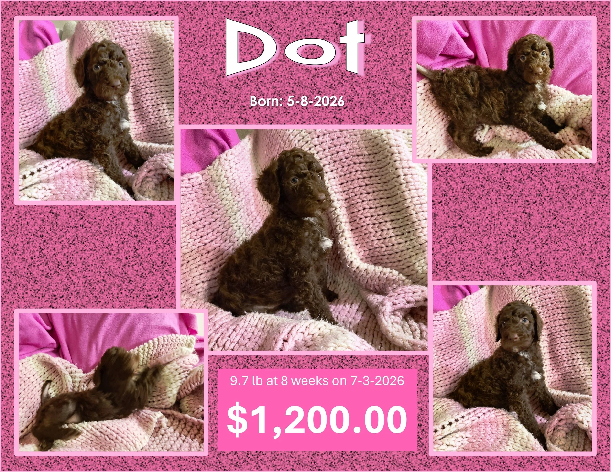 DOT