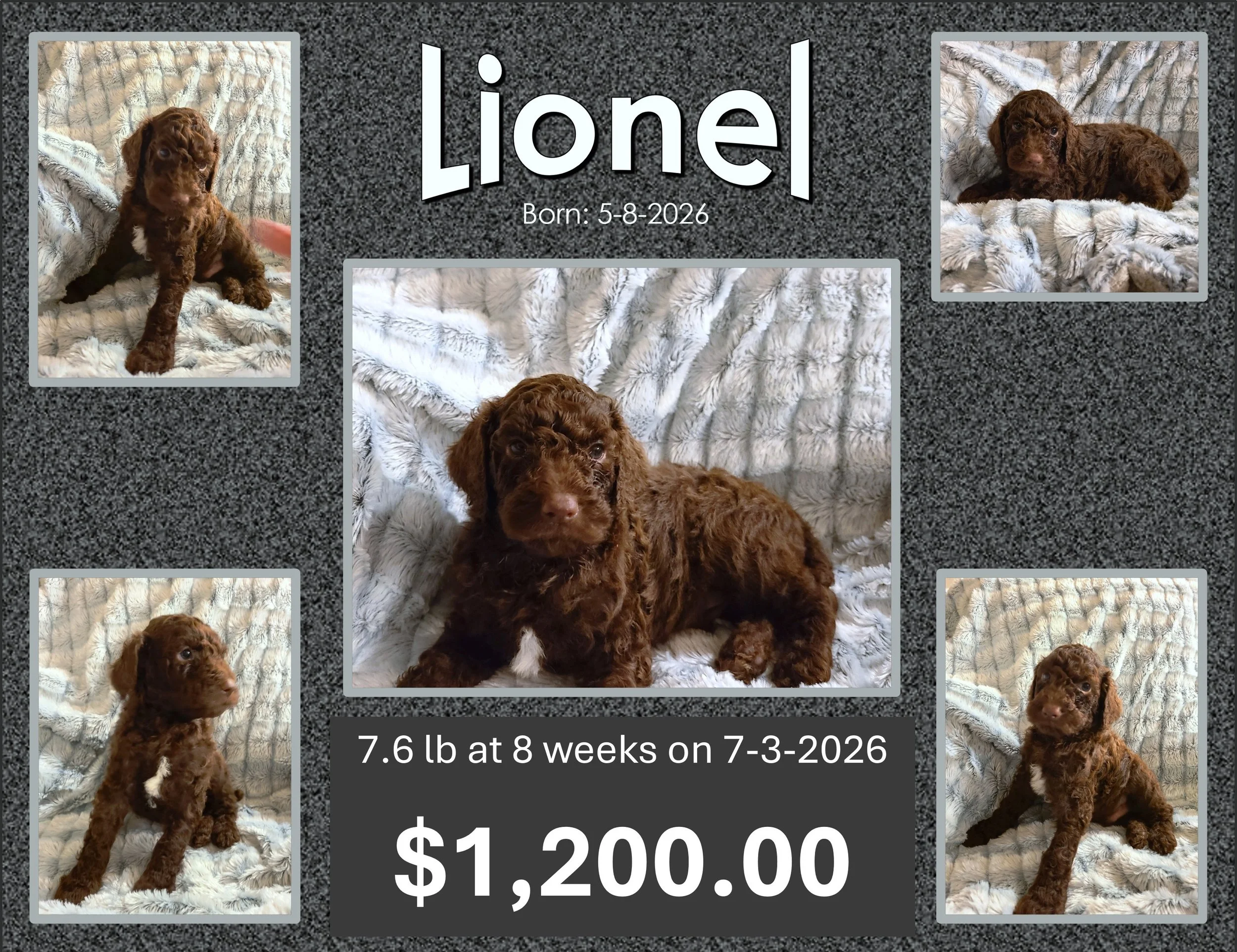 LIONEL --- ON HOLD