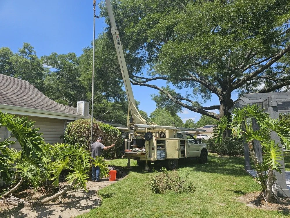 A utility worker operating a bucket truck to trim or cut a large tree in a backyard surrounded by green plants and trees.