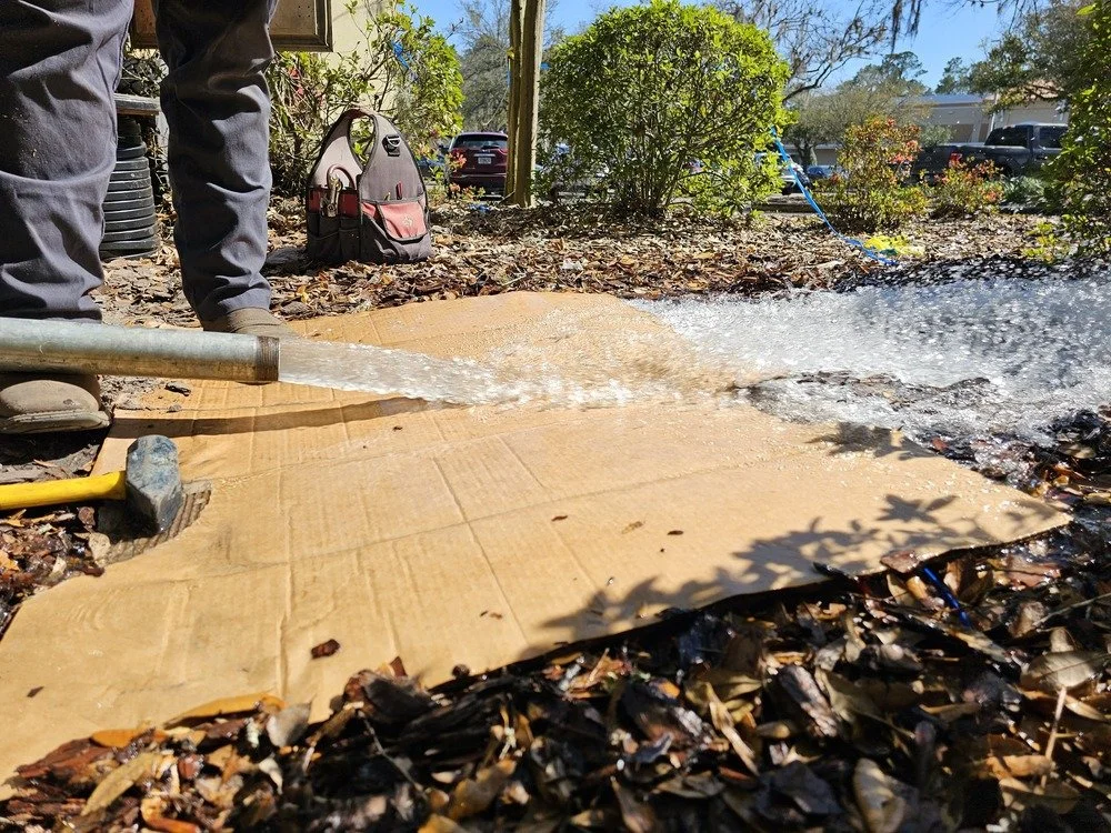 Person watering a large cardboard sheet placed on the ground outdoors, surrounded by fallen leaves and plants.