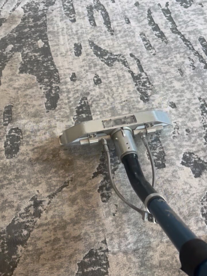 Area rugs add warmth, comfort, and style to your home&mdash;but they also trap dirt, dust, pet dander, allergens, and everyday grime deep within their fibers.

Our professional area rug cleaning process is designed to safely remove embedded soils whi