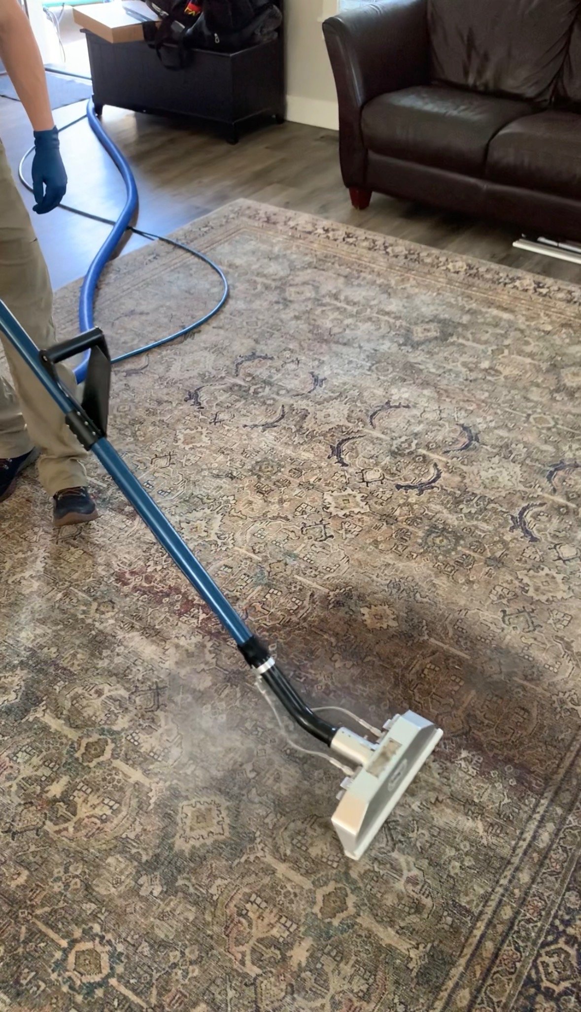 A person is cleaning a large, patterned area rug with a steam cleaner in a living room. The room features a dark leather sofa, wooden flooring, and a small black shelf with a bag on top.