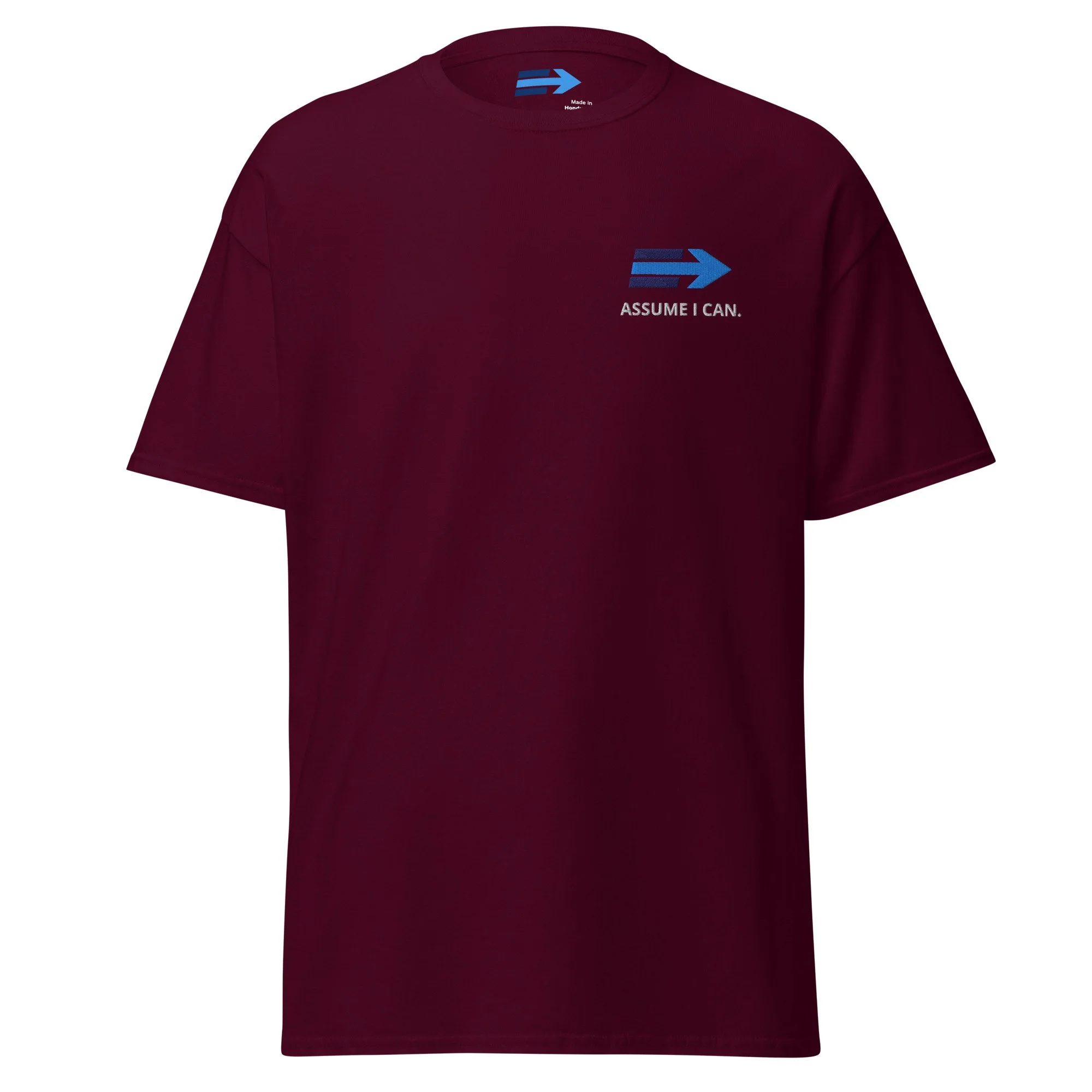 unisex-classic-tee-maroon-front-6ab5541ba20f7.jpg