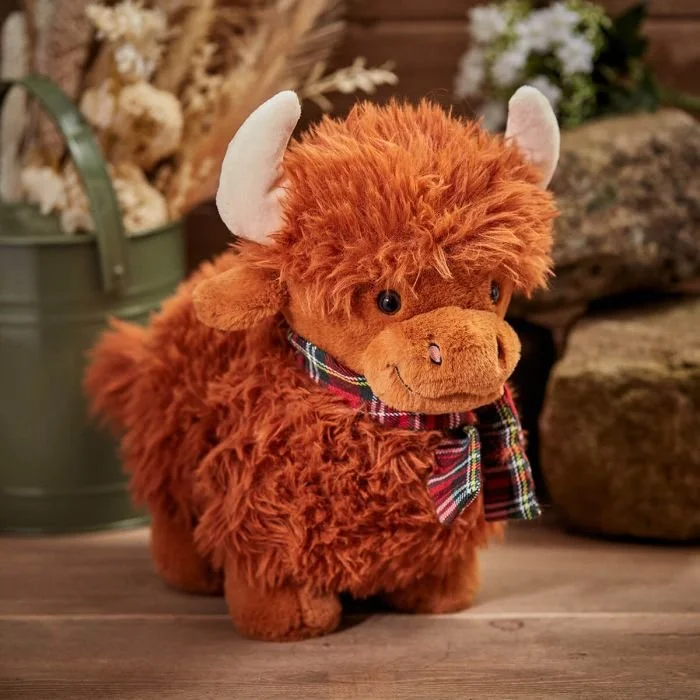 Highland Coo