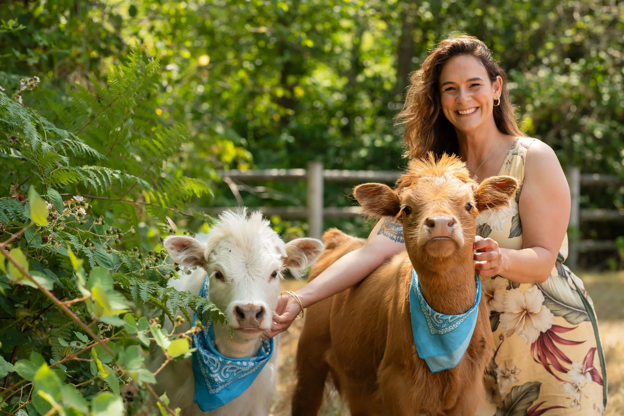 Cuddle a Cow gift card