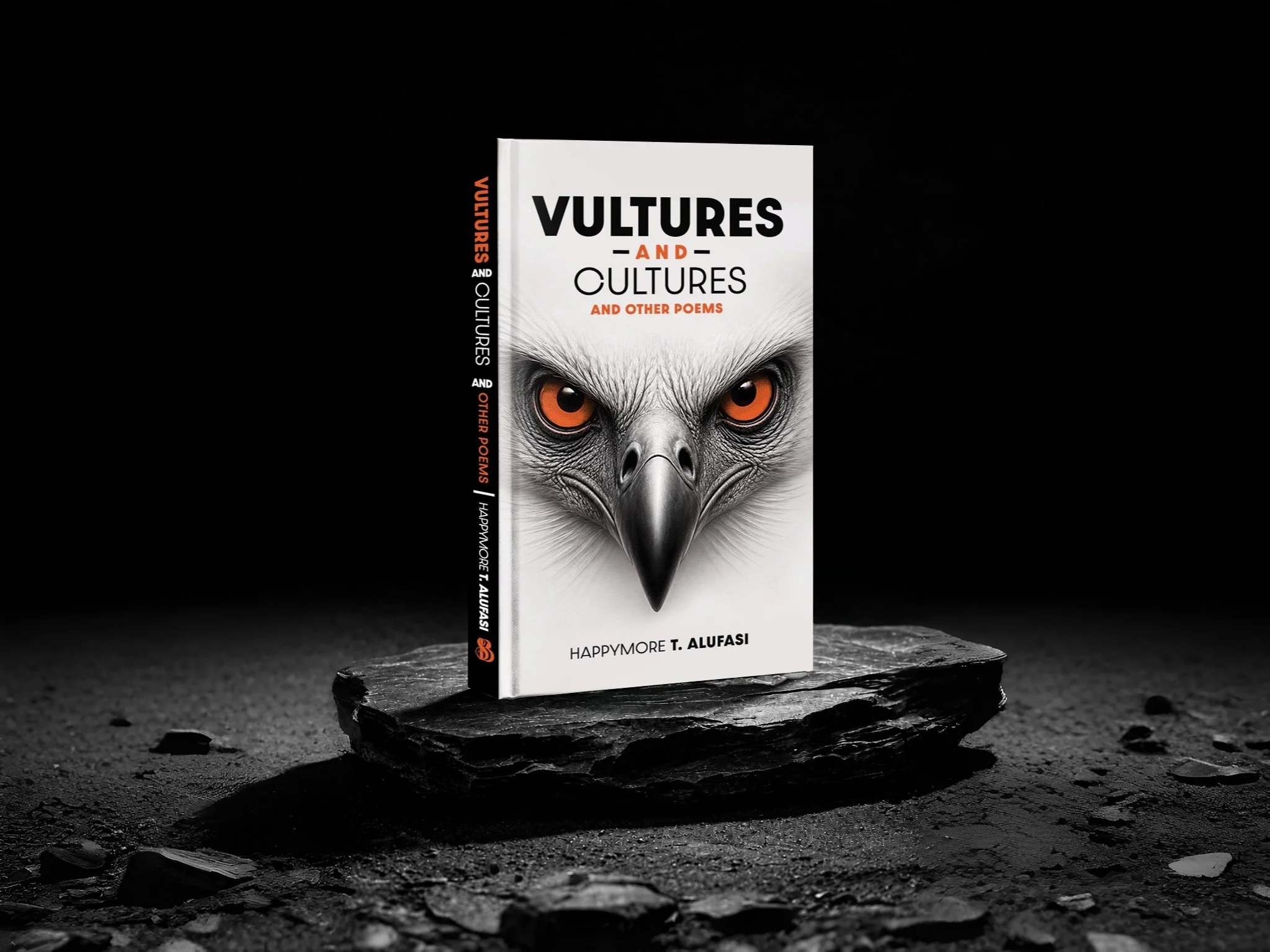VultureandCulture-HappymoreT.Alufasi.jpg